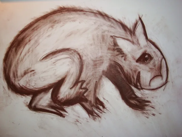 Wild Wombat drawing, September 2010