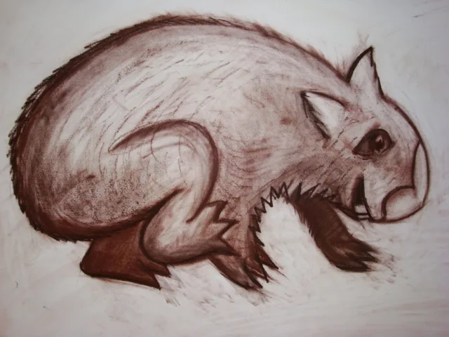 Wild Wombat drawing, September 2010
