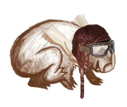 Mr. W in his aviator cap and goggles