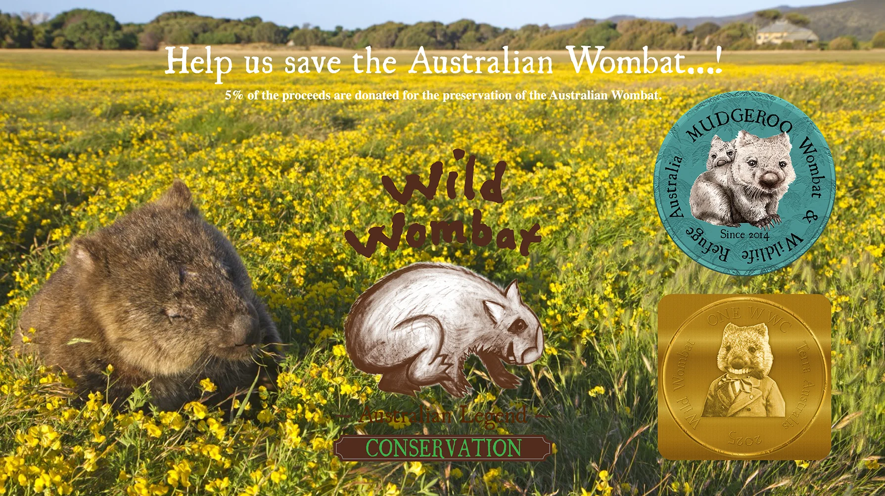 Help us save the Australian Wombat: 5% of the proceeds are donated for the preservation of the Australian wombat. A wombat in yellow wildflowers with the Wild Wombat Conservation logo, the Mudgeroo Wombat and Wildlife Refuge badge and the gold WWC coin