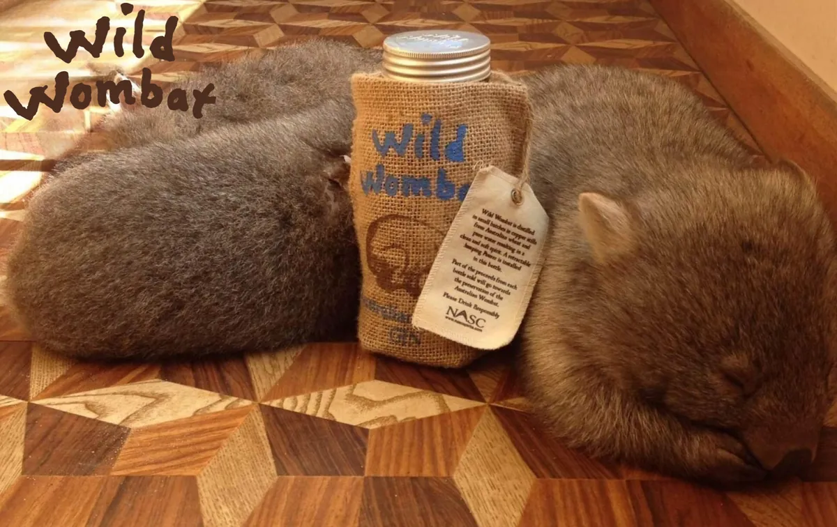 Two wombats asleep next to a bottle of Wild Wombat